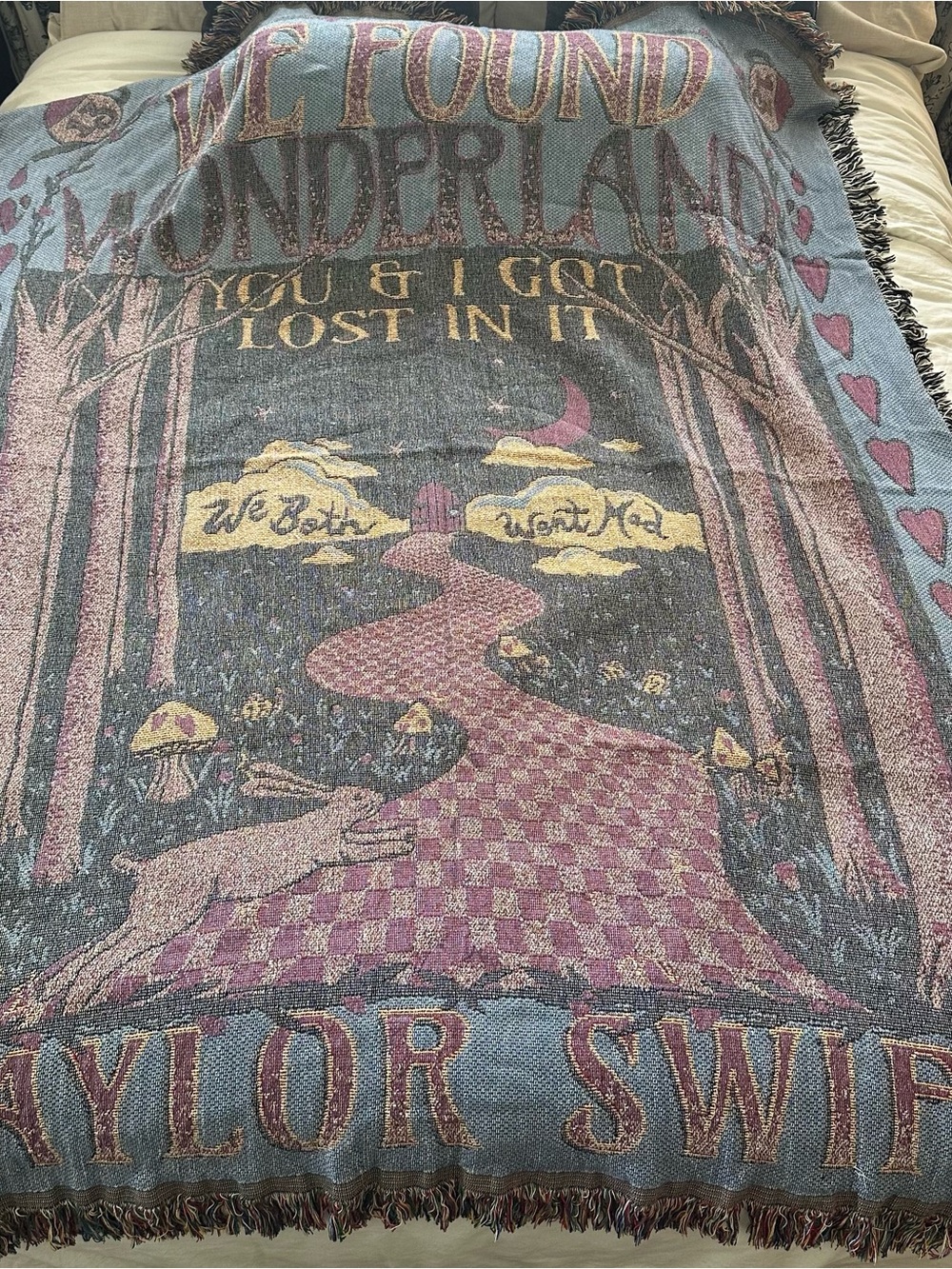 Taylor Swift Wonderland blanket